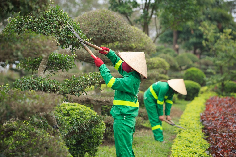 Thuyết minh về quy trình và kỹ thuật bảo hành, bảo trì cảnh quan