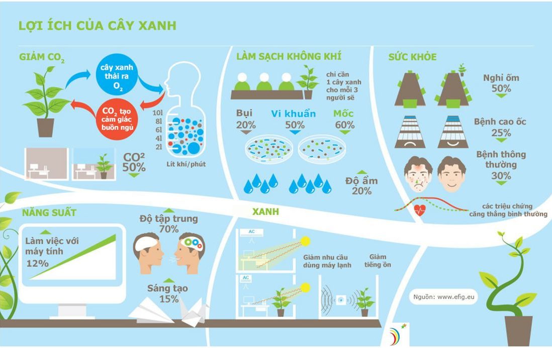 Cây xanh giúp tạo môi trường tốt và cải thiện sức khỏe con người