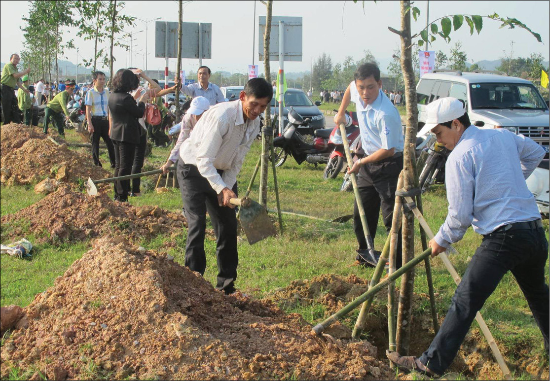 Cây bóng mát cần đảm bảo sự chắc chắn và an toàn