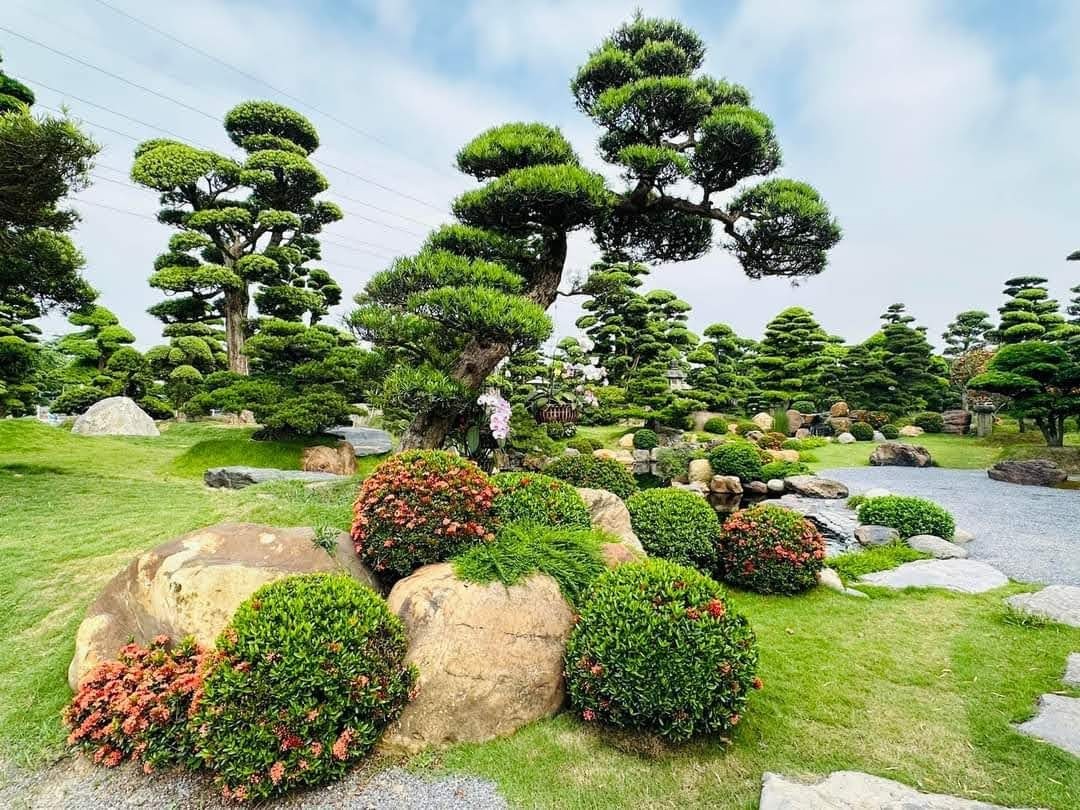 Đơn giá thiết kế bị tác động bởi yêu cầu về cây xanh và vật liệu sử dụng
