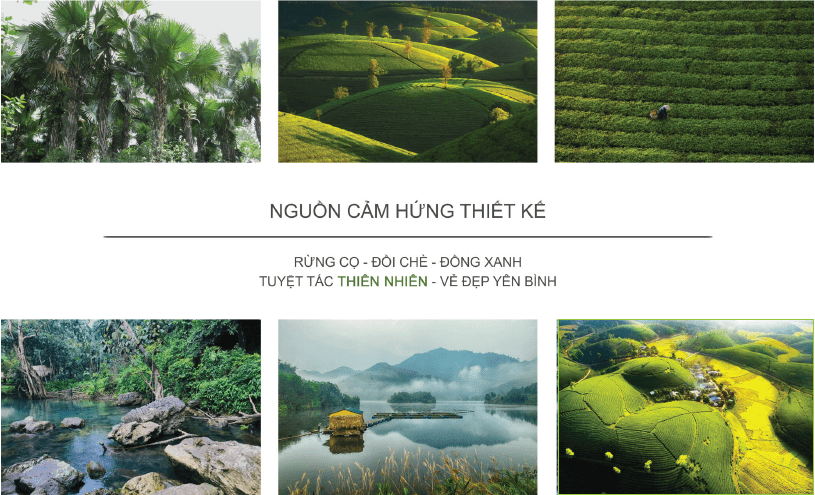Nguồn cảm hứng thiết kế