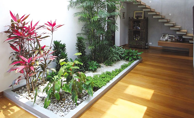 Mẫu cảnh thiết kế cảnh quan giếng trời trong nhà