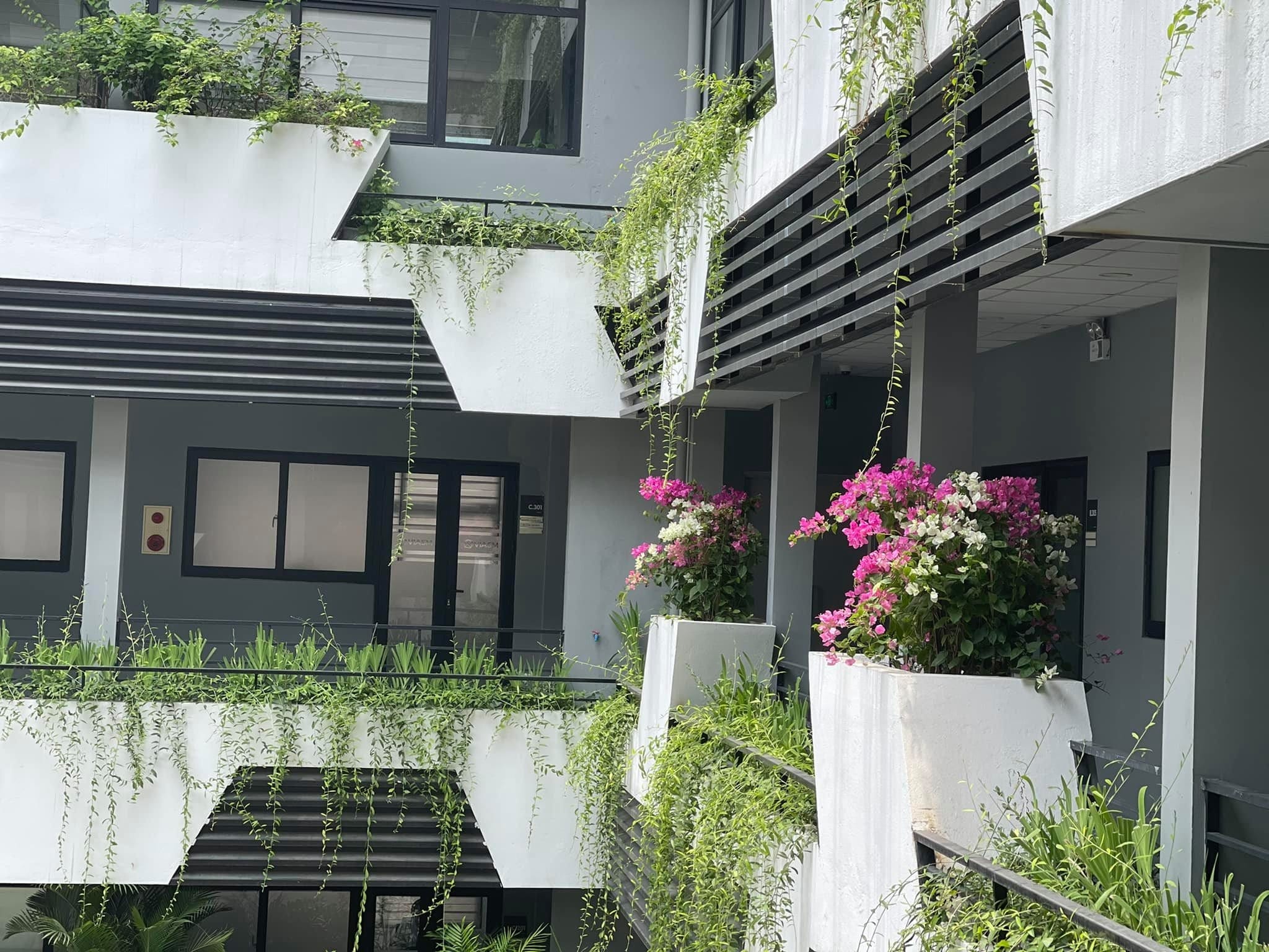 Thiết kế cảnh quan Viện nghiên cứu cao cấp về Toán do Mein Garten thực hiện