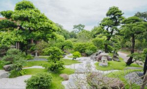 Tổng quan về thiết kế cảnh quan nông thôn