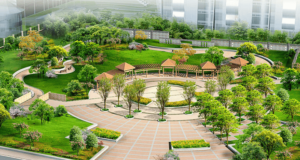 Giới thiệu về cây cảnh quan công viên