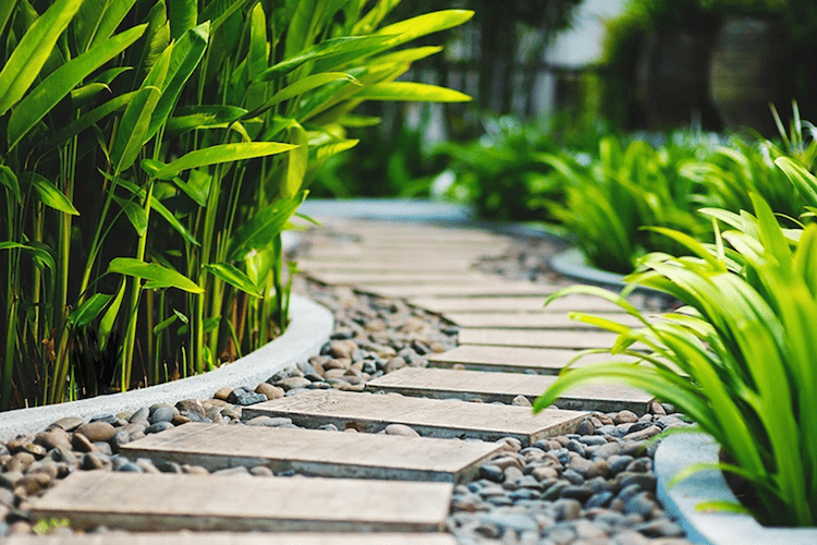 Bố trí hệ thống cấp thoát nước hợp lý tránh ngập úng 