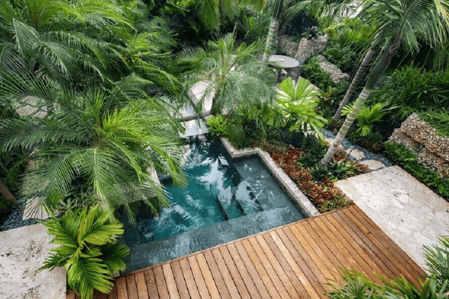 Khu vườn nhiệt đới