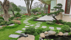Mẫu tiểu cảnh sân vườn cho nhà phố, biệt thự 