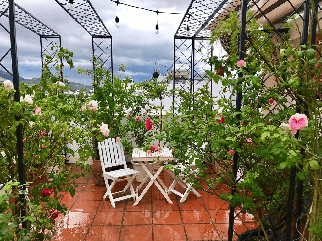 Tạo khu vườn trên sân thượng