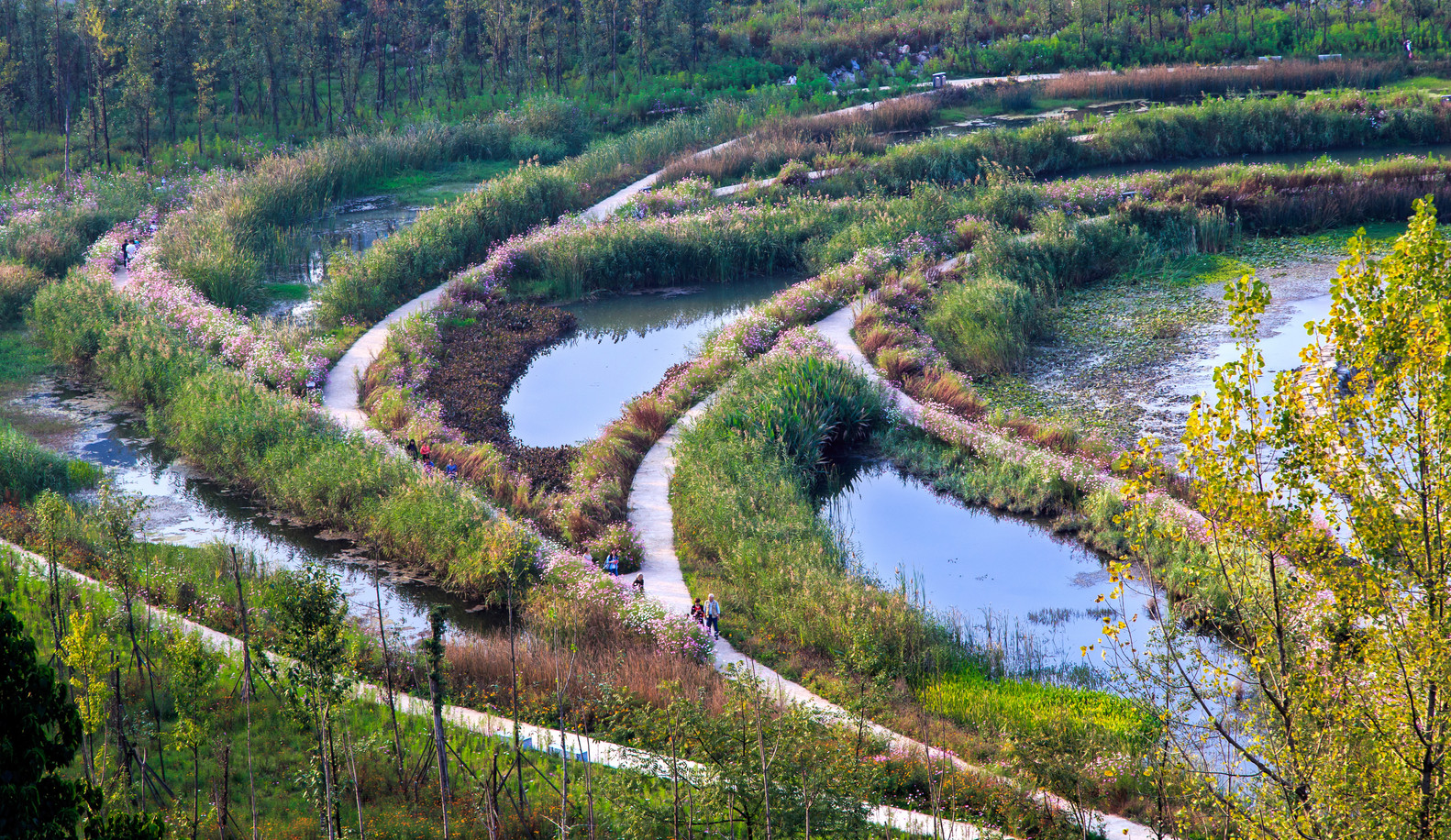 Tổng thể cảnh quan công viên ngập nước Liupanshui Minghu