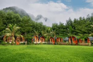 Cảnh quan homestay gắn liền với nông trại 