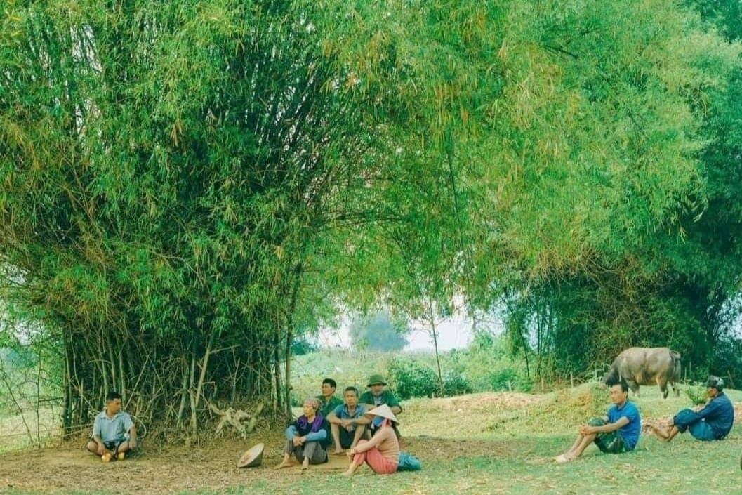 Tre gắn với đời sống làng xã của người Việt 