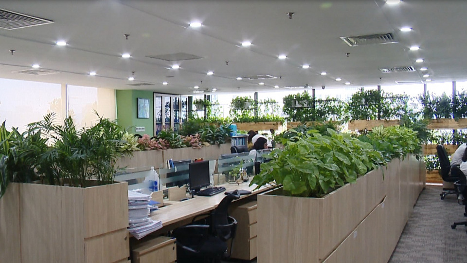Thiết kế cảnh quan đưa mảng xanh vào văn phòng