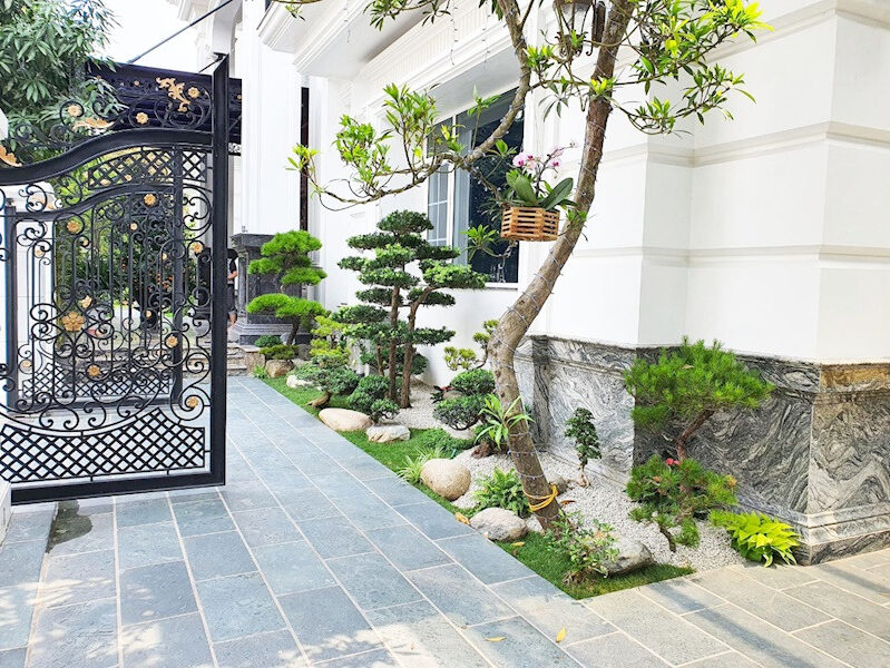 Thiết kế cảnh quan sân vườn cho biệt thự đô thị