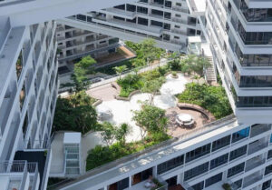 Tận dụng không gian trên cao để tạo thiết kế cảnh quan Cầu Giấy xanh