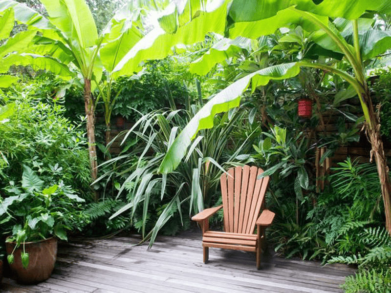 Sân vườn phong cách nhiệt đới