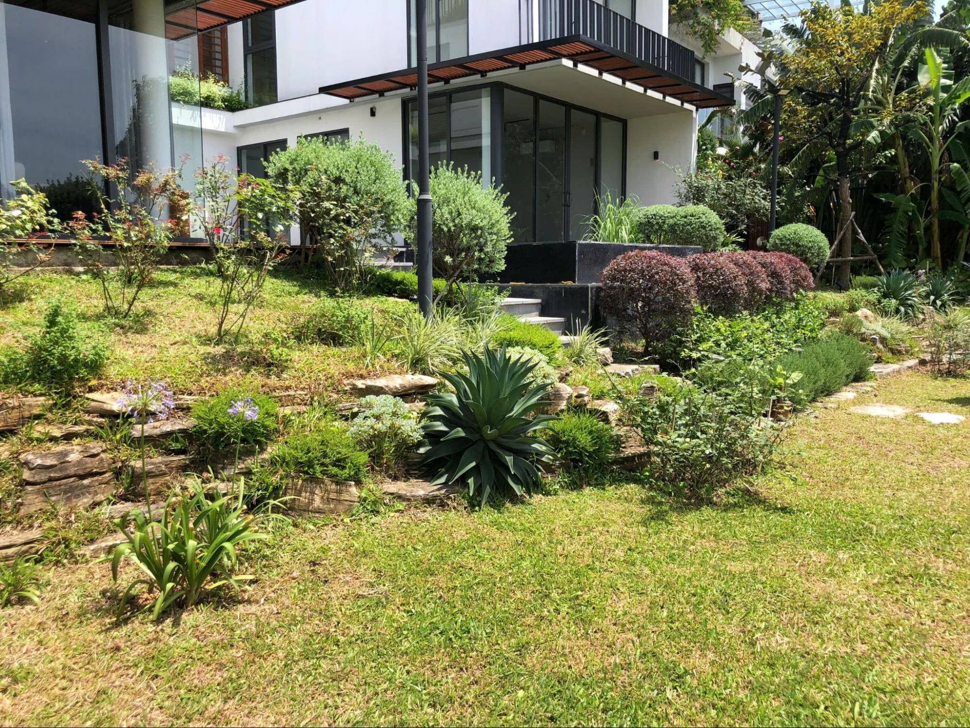 Vườn tiểu cảnh trước hiên nhà