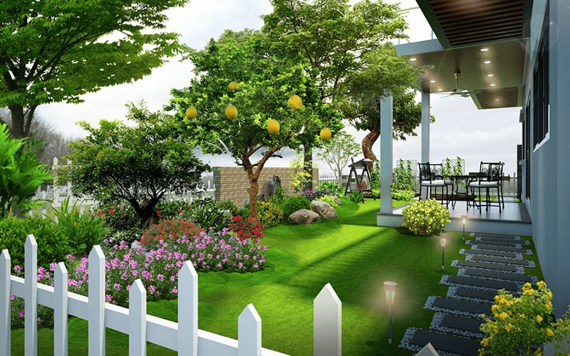 Sân vườn nông trại trồng cây ăn quả