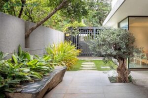 Sân vườn tiểu cảnh đơn giản cho nhà phố hiện đại