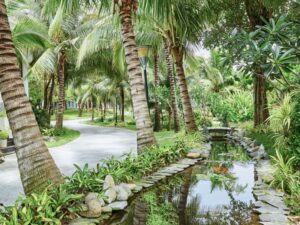 Thiết kế sân vườn nhiệt đới