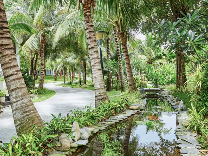 Thiết kế sân vườn nhiệt đới