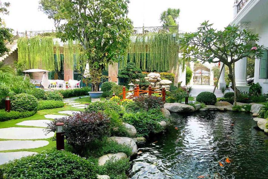 Lựa chọn cây chịu nắng tốt cho sân vườn