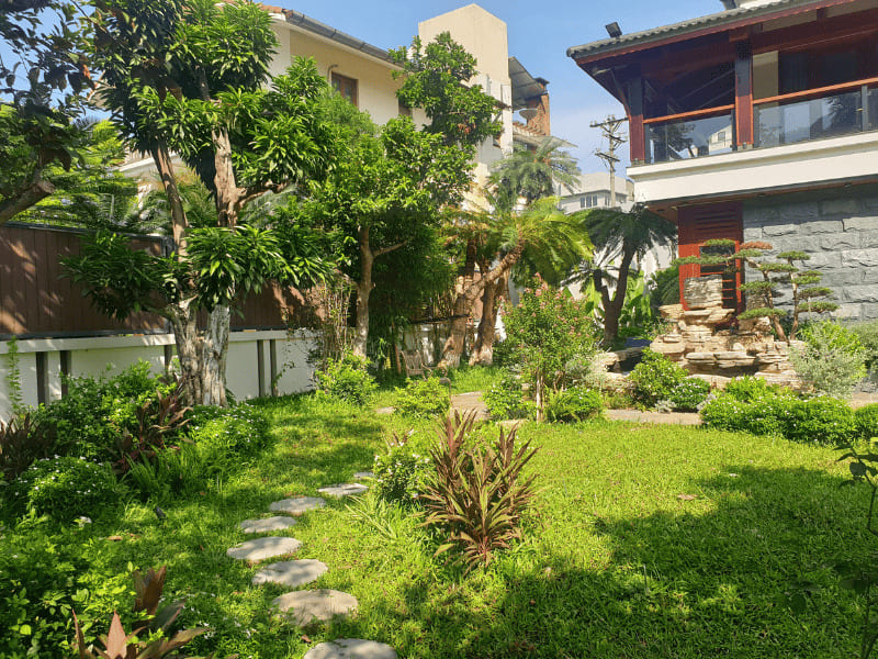 Thiết kế sân vườn nhiều cây xanh