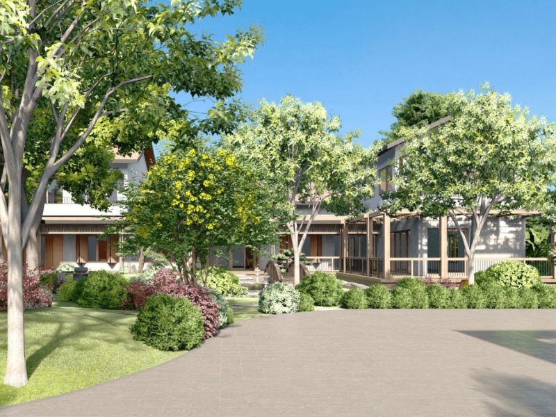 Việc lựa chọn cây xanh là yếu tố quyết định đến vẻ đẹp, tuổi thọ sân vườn.