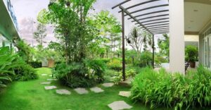 Cây xanh giúp cải thiện chất lượng không khí