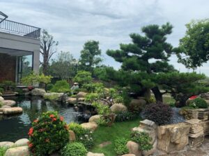 Nhu cầu thi công sân vườn Phú Thọ ngày càng cao