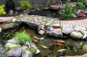 Thiết kế tiểu cảnh sân vườn cần hài hòa
