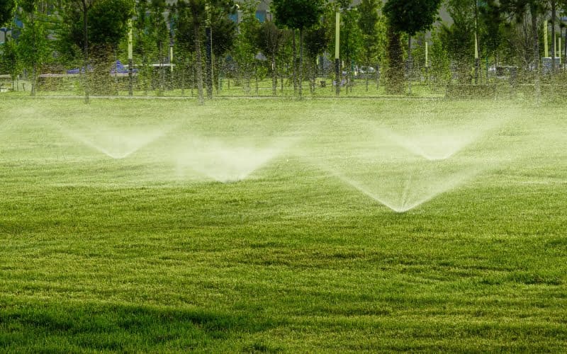 Tùy thuộc vào diện tích và đặc điểm sân vườn để chọn giải pháp tưới phù hợp