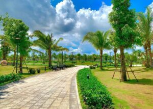 Cây trồng công viên cần có tính thẩm mỹ cao