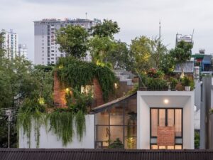Vườn xanh nhiệt đới trên tầng