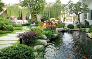 Mẫu sân vườn hồ cá kết hợp lối dạo