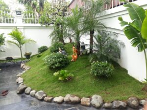 Các loại cây trồng tiểu cảnh sân vườn cần phù hợp với diện tích sân vườn và phong cách thiết kế