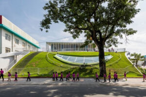 Tán cây phù hợp với không gian trường học