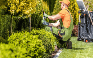 Chăm sóc sân vườn thường xuyên giúp cây trồng phát triển khỏe mạnh
