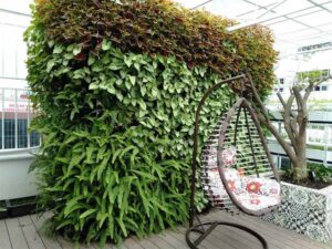 Cấu tạo hoàn chỉnh của 1 vườn đứng